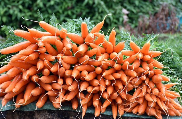 Waarom wortelsap maken een slimme keuze is voor je gezondheid en lifestyle